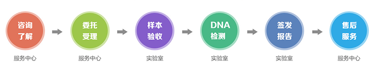 合肥隐私亲子鉴定流程